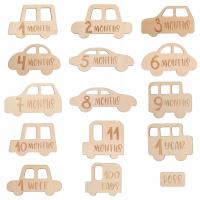 15 Pieces Monthly Milestone Cards for Newborn