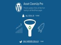 Модуль Asset Cleanup Pro