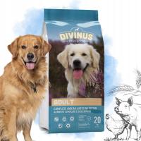 DIVINUS ADULT Karma sucha dla psa owczarek labrador golden witaminy 20 kg