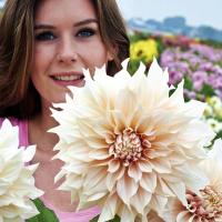 Тарелка Dalia Cafe au Lait 1 шт.