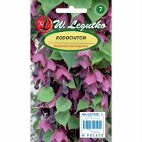 Родохитон красивые экзотические лианы фиолетово-красные семена