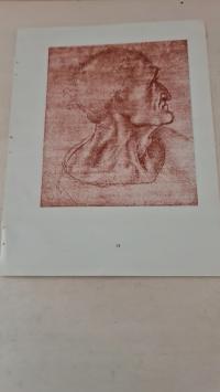 OBRAZ RADIERUNG MOTYW L.DA VINCI GŁOWA JUDASZA MUZEUM SZTUKI ALBERTINA