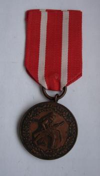 II RP MEDAL OCHOTNIKOWI WOJENNEMU 1918-1921