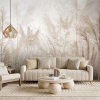 Fototapeta BEŻOWE POLE W STYLU BOHO Do Sypialni Salonu Kuchni 400x250