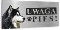 Tabliczka UWAGA ZŁY PIES SYBERIAN HUSKY aluminium