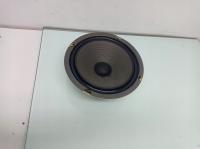 SUMMIT TT 250 - Głośnik Basowy