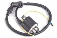 Cewka zapłonowa z przewodem i fajką Barton Fighter 50 Gb Street Torros