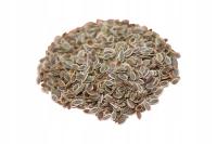 Koper ogrodowy - nasiona - 10g