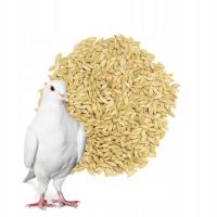 Ячмень пивоваренный (светлый, короткий) для птиц, голубей 1 кг