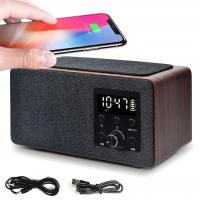 Сетевое радио FM Manta RDI910WC