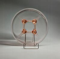 ŁOSOSIOWA PATERA NA STOPKACH