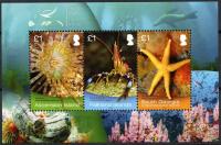 South Georgia & South Sandwich Isl.** Mi. Blok 25 Fauna morska 12€