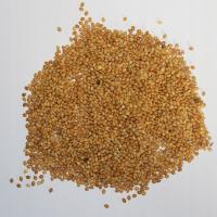 Proso żółte pasza ziarno materiał paszowy 1kg