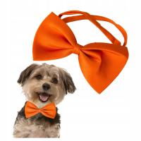 KOKARDA MUCHA MUSZKA OBROŻA DLA PSA KOTA REGULACJA