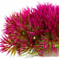 ПЫШНОЕ ИГОЛЬЧАТОЕ АКВАРИУМНОЕ РАСТЕНИЕ, БЕЗОПАСНОЕ ДЛЯ РЫБ, НЕЖНОЕ