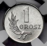 8994. 1 grosz 1949 - NGC MS65