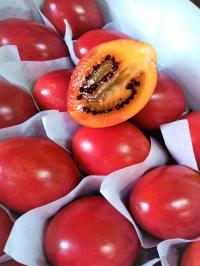 TAMARILLO połączenie pomidora z mango -1 szt HIT!