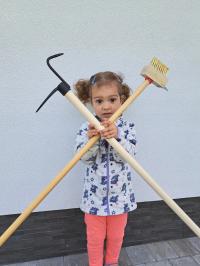 Zestaw do czyszczenia z mchu traw szczelin kostki