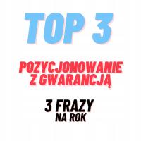 POZYCJONOWANIE stron internetowych 3 FRAZY do top 3 na ROK, Linki, SEO