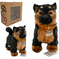 INTERAKTYWNY PIESEK reaguje na dotyk CHODZI SZCZEKA OWCZAREK MASKOTKA