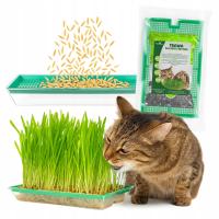 TRAWA DLA KOTA ZESTAW NASIONA KIEŁKOWNICA DO UPRAWY KOCI PRZYSMAK