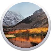 Apple MacOS High Sierra 10.13 dysk instalacyjny USB