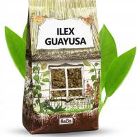 Ilex Guayusa 500g energia pobudzenie relaks 0,5 kg
