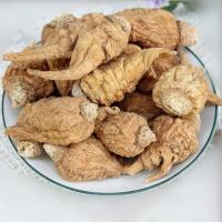 NASIONA MACA peruwiański żeń-szeń afrodyzjak UPRAWA AMATORSKA 10szt nasion