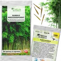 Бамбук морозостойкие семена Phyllostachys Pubescens до-20 * C 5 семян