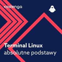 Kurs Terminal Linux poziom I - automat 24/7