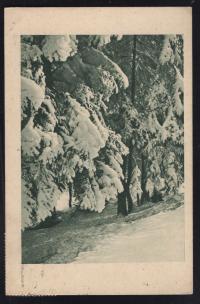 ZIMA, KASOWNIK 1937 ROK, NUMER KPSO A. MYŚLICKI- 36117