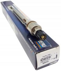 Świeca żarowa BorgWarner PSG006