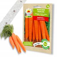 Семена овощей на ленте морковь средний ранний посев до июня сочный