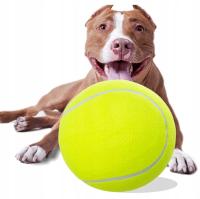 Zabawka dla psa piłka do aportowania gryzienia tenisowa duża XXL 24cm