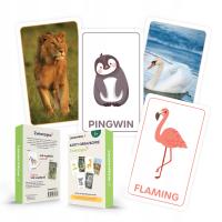 KARTY OBRAZKOWE Z PODPISAMI DWUSTRONNE - ZWIERZĘTA (42 karty) - LearnHow