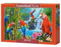 Puzzle 2000 Parrot Meeting .