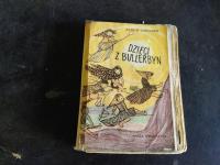 KSIĄŻKA DZIECI Z BULLERBYN ASTRID LINDGREN