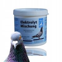 Elektrolit - kombinacja elektrolitów do regenreacji sił 500g