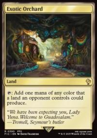 Exotic Orchard Karta MTG FF L