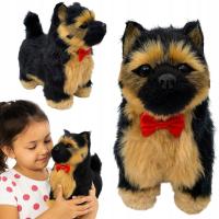 INTERAKTYWNY PIES NA BATERIE CHODZI SZCZEKA PIESEK WILCZUR MELODIA OWCZAREK