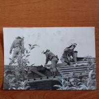 ZDJĘCIE PRL STRAŻACY 0030 Z1