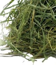 NATURALNE SIANO 1,5 KG PRZEPYSZNE DLA ŚWINKI MORSKIEJ, ŚWIEŻE EKO PREMIUM