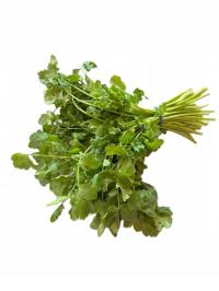 Świeża Kolendra Cięta - Gwarancja Świeżości i Jakości 100g