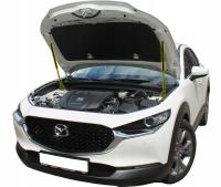 ТЕЛЕСКОПЫ ПРУЖИНЫ КЛАПАНА, СПЕРЕДИ MAZDA CX-30 CX30
