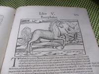4 olbrz strony SEBASTIAN MUNSTER COSMOGRAPHIA Aleksander Wlk ryciny 1559