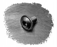 M5X10 ŚRUBA IMBUS AMPULOWA DO OWIEWEK KOŁNIERZOWA NIERDZEWNA 7380F (50)