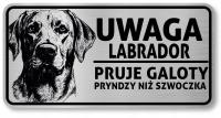 Uwaga pies tabliczka 20x10 Labrador