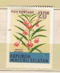 MALUKU SELATAN (flora) --luzak czysty