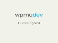 Wtyczka WPMU DEV Hummingbird Caching Plugin