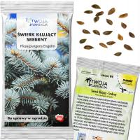 ŚWIERK SREBRNY Kłujący NASIONA NIEBIESKI Picea pungens Engeln 20 Nasion